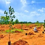 Sowing the Seeds of Bright Future